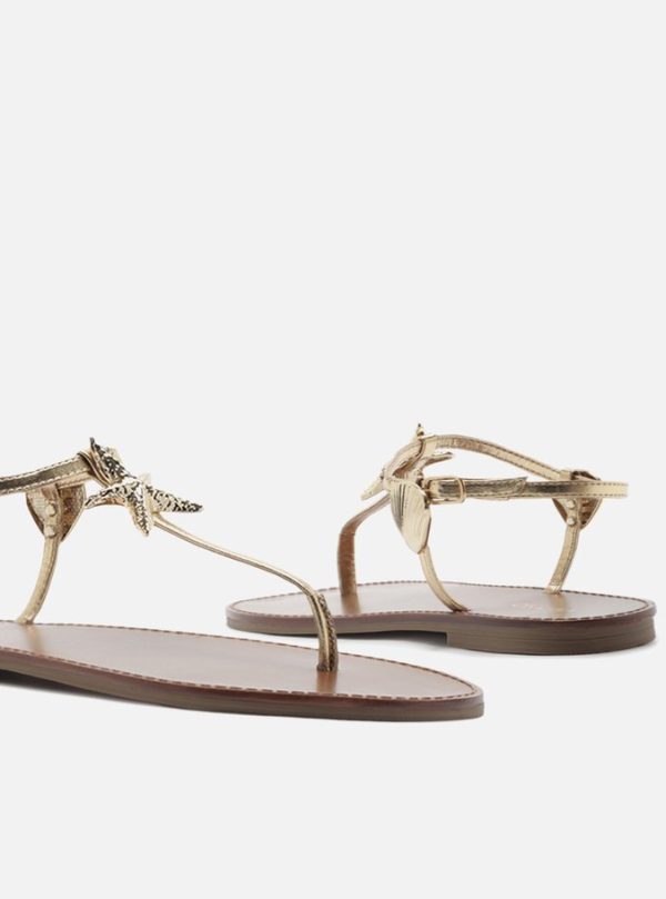 Sandália Rasteira Dourada Slim Conchas Estrela - Imagem 2