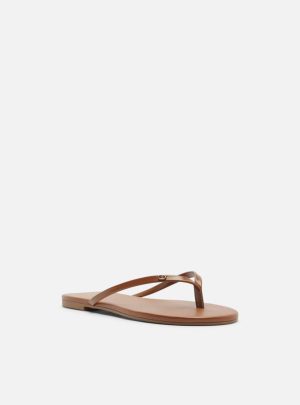 Rasteira Marrom Flip Flop Detalhe Metal