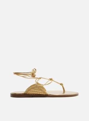Sandália Rasteira Dourada Bordado Amarração