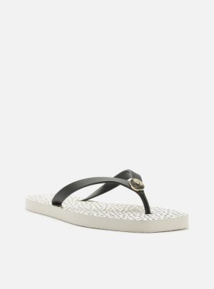 Chinelo Estampado Metal ZZ Bico Quadrado